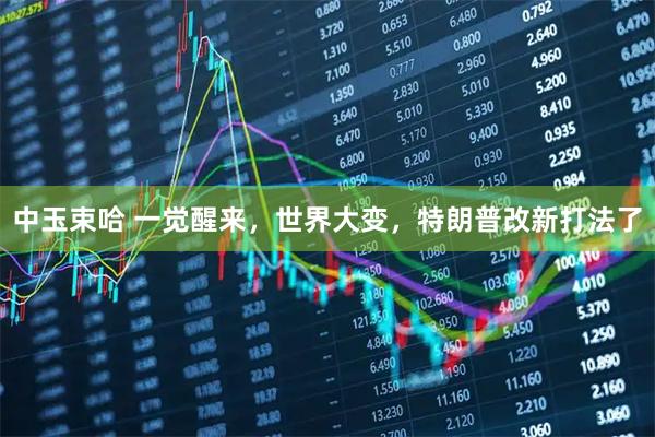 中玉束哈 一觉醒来,世界大变,特朗普改新打法了