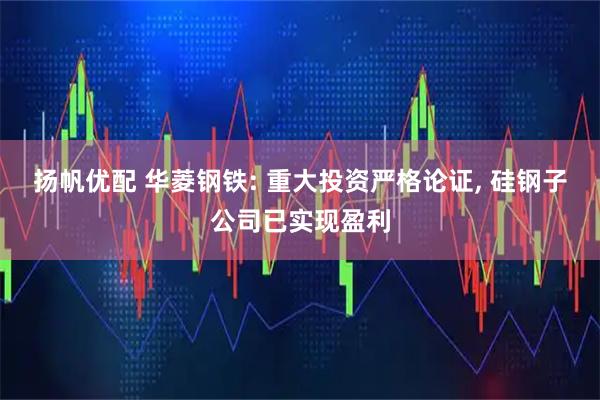 扬帆优配 华菱钢铁: 重大投资严格论证, 硅钢子公司已实现盈利