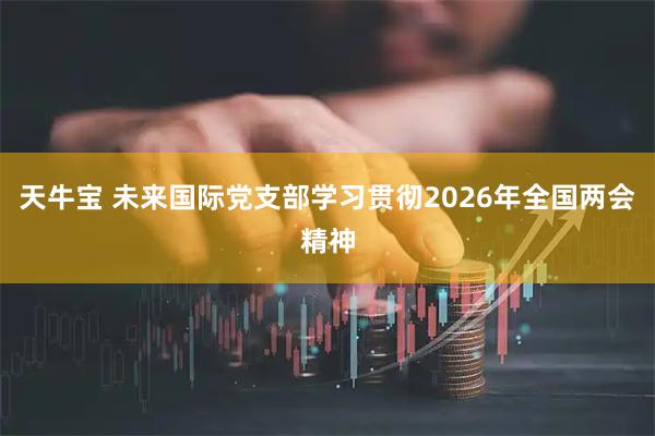 天牛宝 未来国际党支部学习贯彻2026年全国两会精神