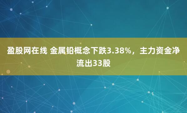 盈股网在线 金属铅概念下跌3.38%，主力资金净流出33股