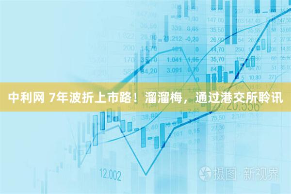 中利网 7年波折上市路！溜溜梅，通过港交所聆讯