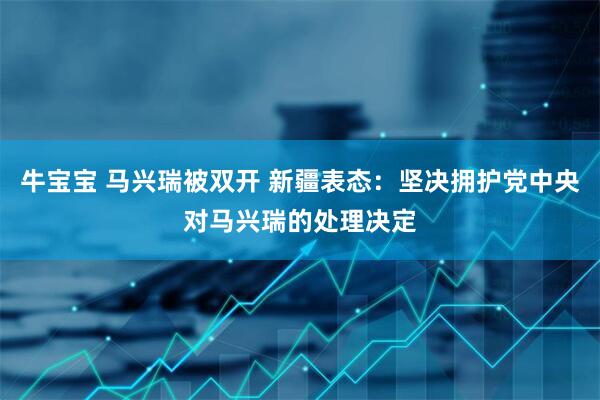 牛宝宝 马兴瑞被双开 新疆表态：坚决拥护党中央对马兴瑞的处理决定