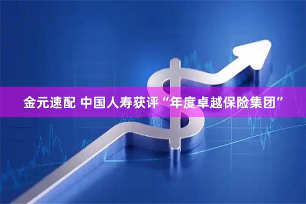 金元速配 中国人寿获评“年度卓越保险集团”