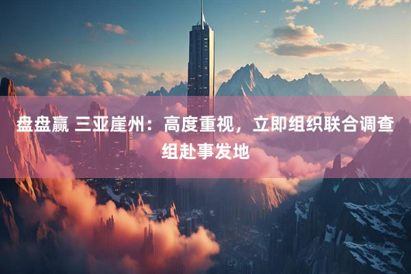 盘盘赢 三亚崖州：高度重视，立即组织联合调查组赴事发地