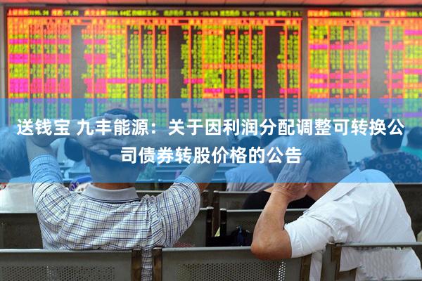 送钱宝 九丰能源：关于因利润分配调整可转换公司债券转股价格的公告