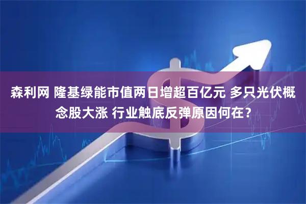 森利网 隆基绿能市值两日增超百亿元 多只光伏概念股大涨 行业触底反弹原因何在？